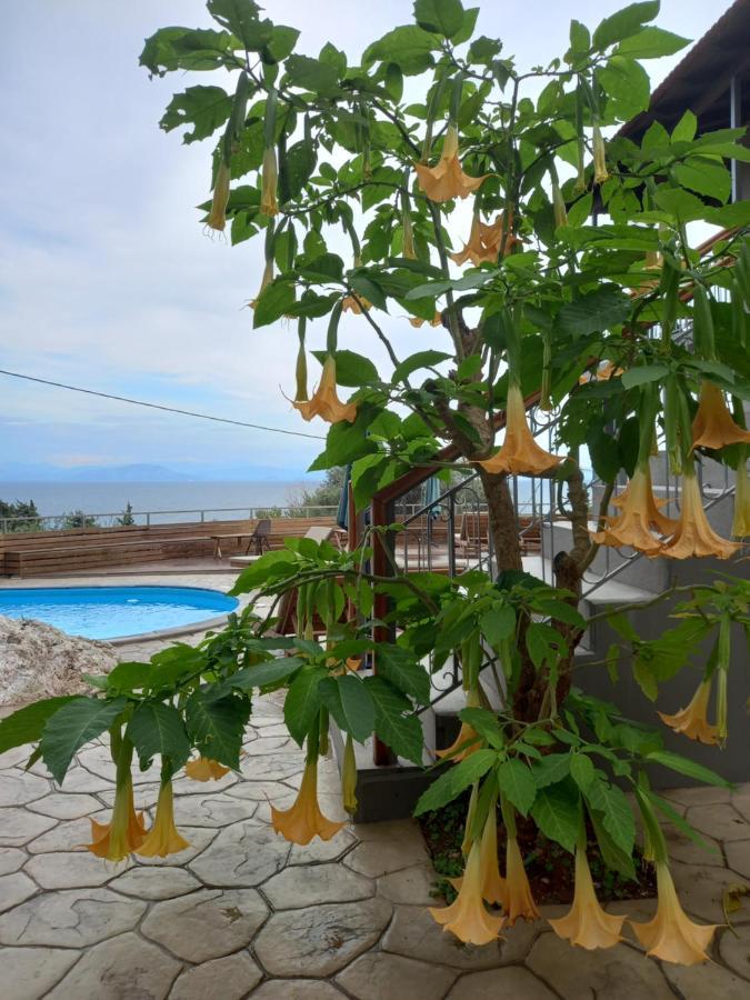 Seven Keys Luxury Suites Achilleion ภายนอก รูปภาพ